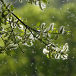Permalink to Springtime HVAC Preparation Springtime HVAC Preparation