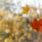 Permalink to Heating Season is Right Around the Corner: How to Prepare Your Home transitioning seasons