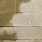 Permalink to Which Dehumidifier is Right for Your Basement? basement dehumidifier