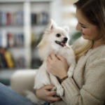 Permalink to Make Sure Your Furry Friends Stay Warm This Winter