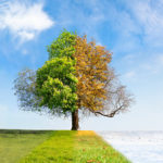Permalink to Not All HVAC Maintenance Is the Same — It Depends on the Season