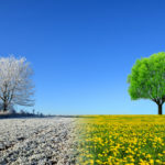 Permalink to With Winter Over, Make a Smooth Transition to Cooling